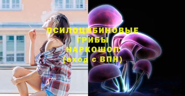 гидра Абинск