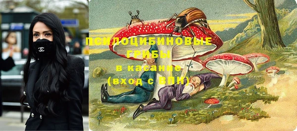 мет Абаза