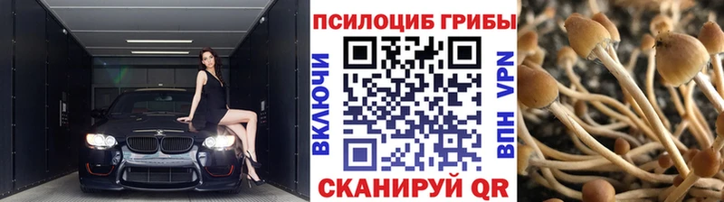 Галлюциногенные грибы Magic Shrooms  Омск 