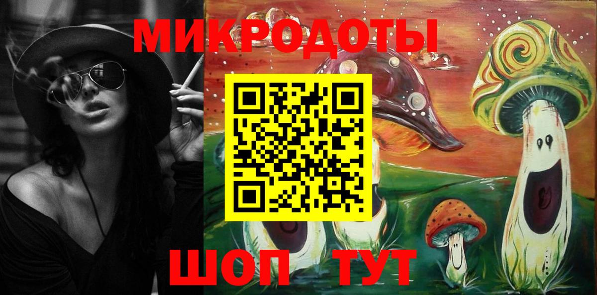 Псилоцибиновые грибы Psilocybe Омск