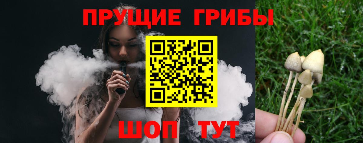 Омск  Галлюциногенные грибы прущие грибы  Вход с VPN 